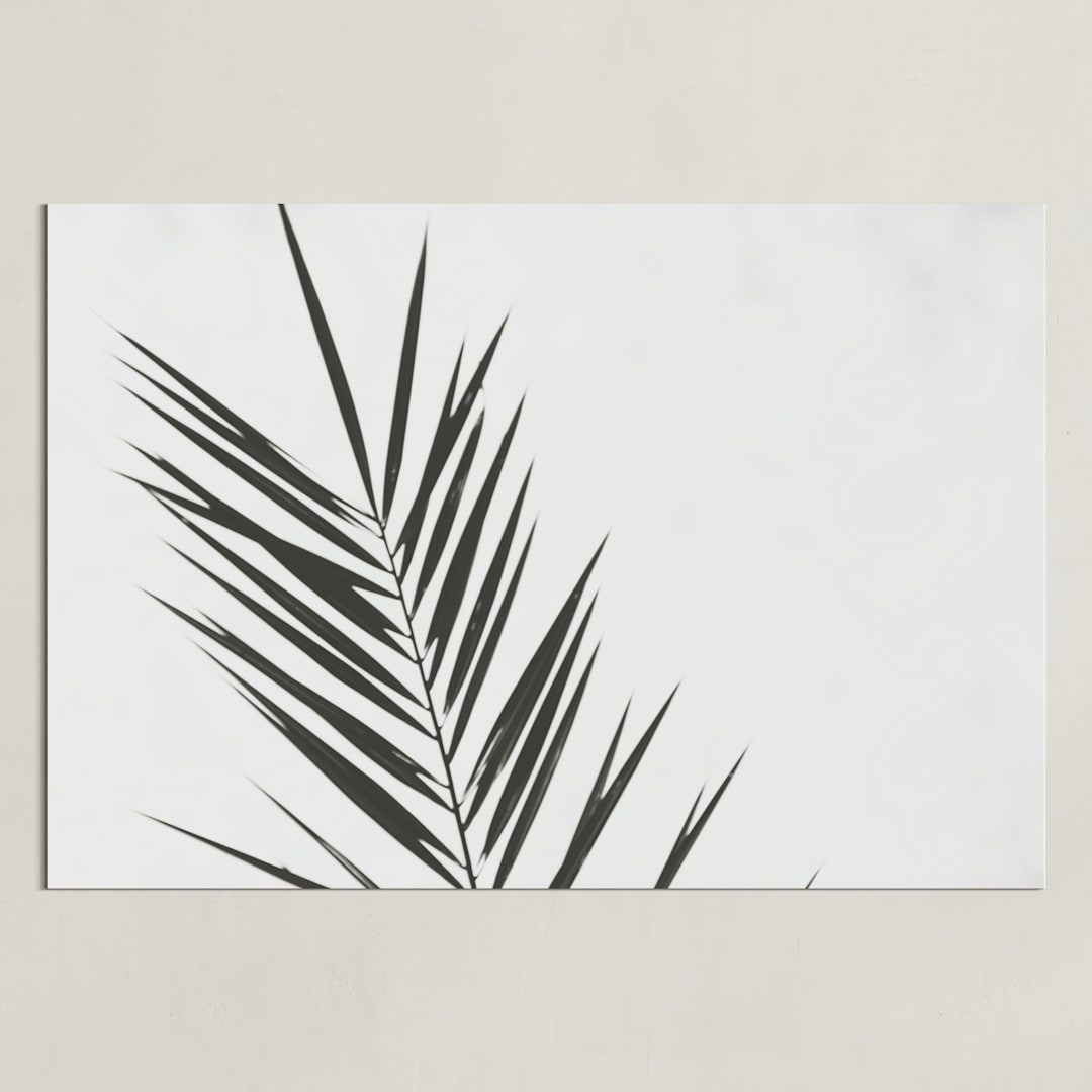 "Two" - Art Print in Charcoal by Stacy Cooke - Unframed