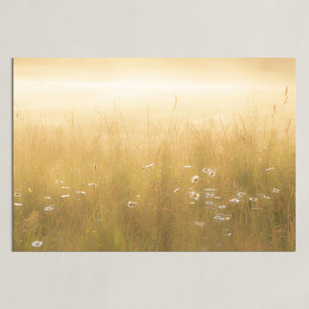 "Golden Meadow" - Art Print in yellow by Julia Preminger - Unframed