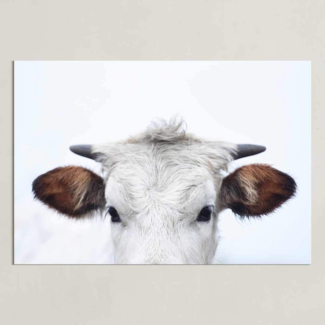 "Wee Staredown" - Art Print in Farm by Amy Carroll - Unframed