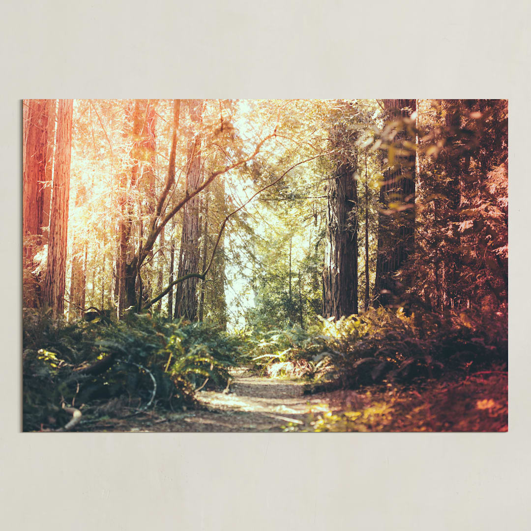 "Redwoods Path" - Art Print in Redwood Path by Elena Kulikova - Unframed