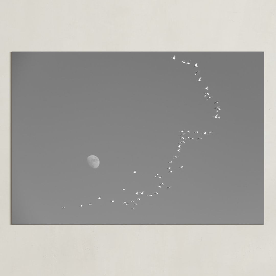 "Flight and Hike I" - Art Print in Dusk by Alaric Yanos - Unframed
