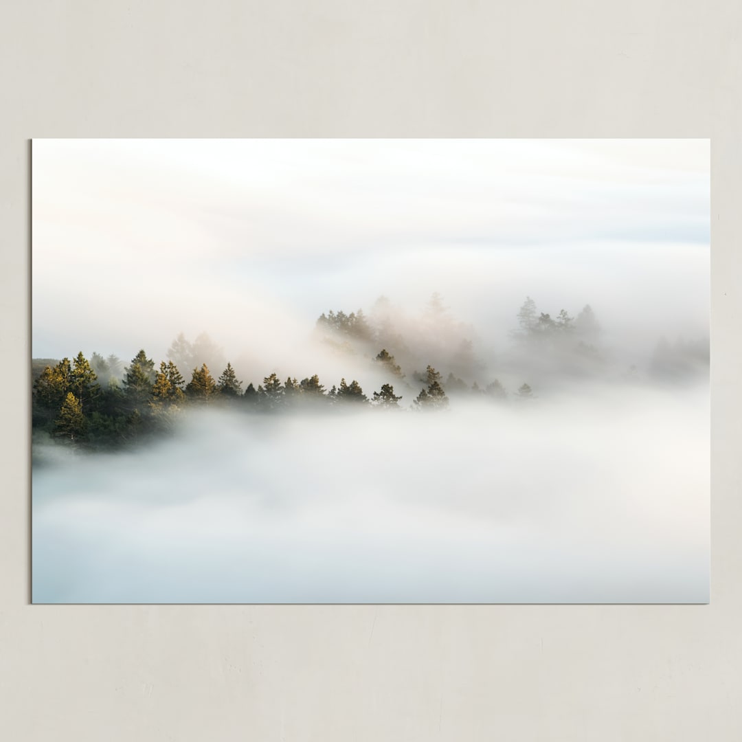 "Revealing II" - Art Print in Seaweed Green by Tania Medeiros - Unframed