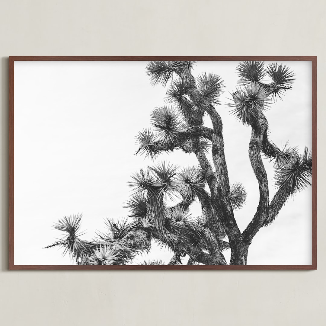 "Joshua Tree in September" - Art Print in Charcoal by Katie Doherty - Framed