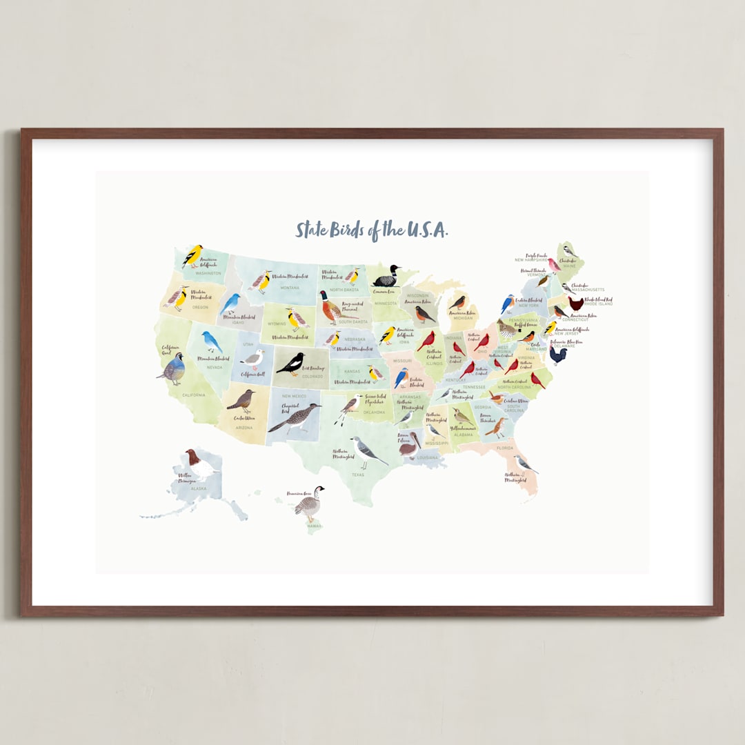 "State Birds of the USA" - Art Print in Natural by Cynthia Jacquette - Framed