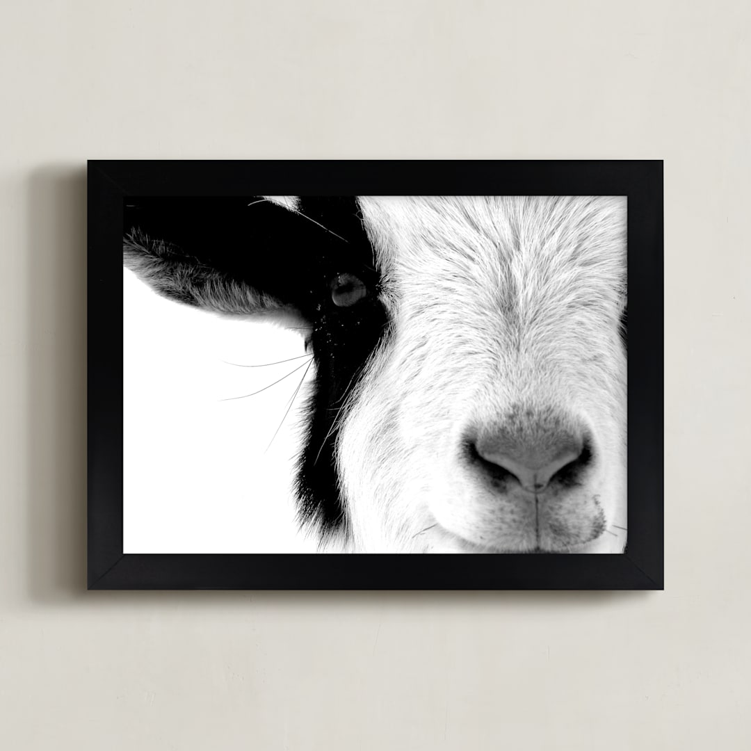 "Pawnee" - Art Print in Black and White by Leslie Le Coq - Framed