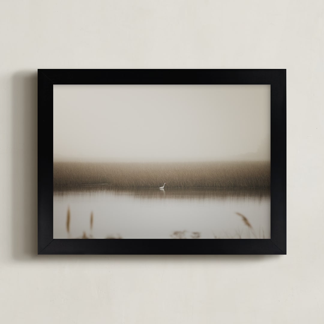 "Fragile equilibrium" - Art Print in Wetland by Lucia Coppola - Framed