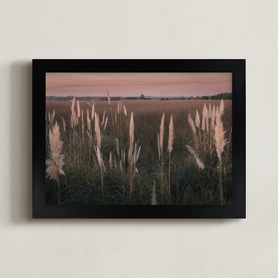 "Pampas grass" - Art Print in Sunset by Lucia Coppola - Framed