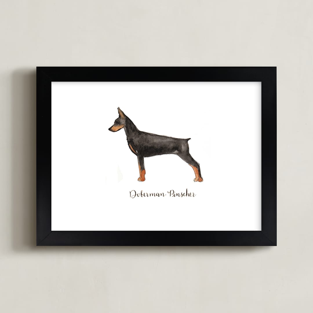 "Doberman Pinscher" - Art Print in Black by Megan Kelso - Framed