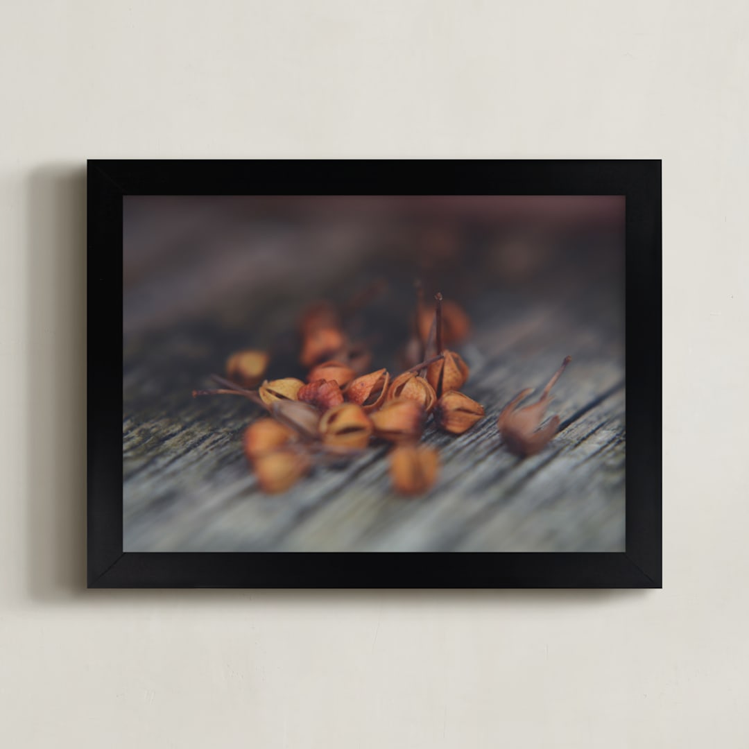 "Seed I" - Art Print in washed wood grey by Stacy Cooke - Framed