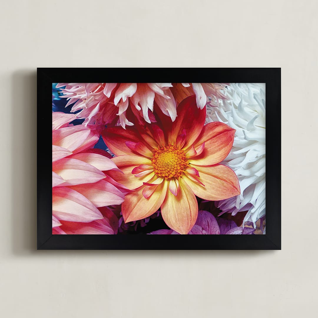 "Dahlia Mix II" - Art Print in Color Array by A MAZ Design - Framed