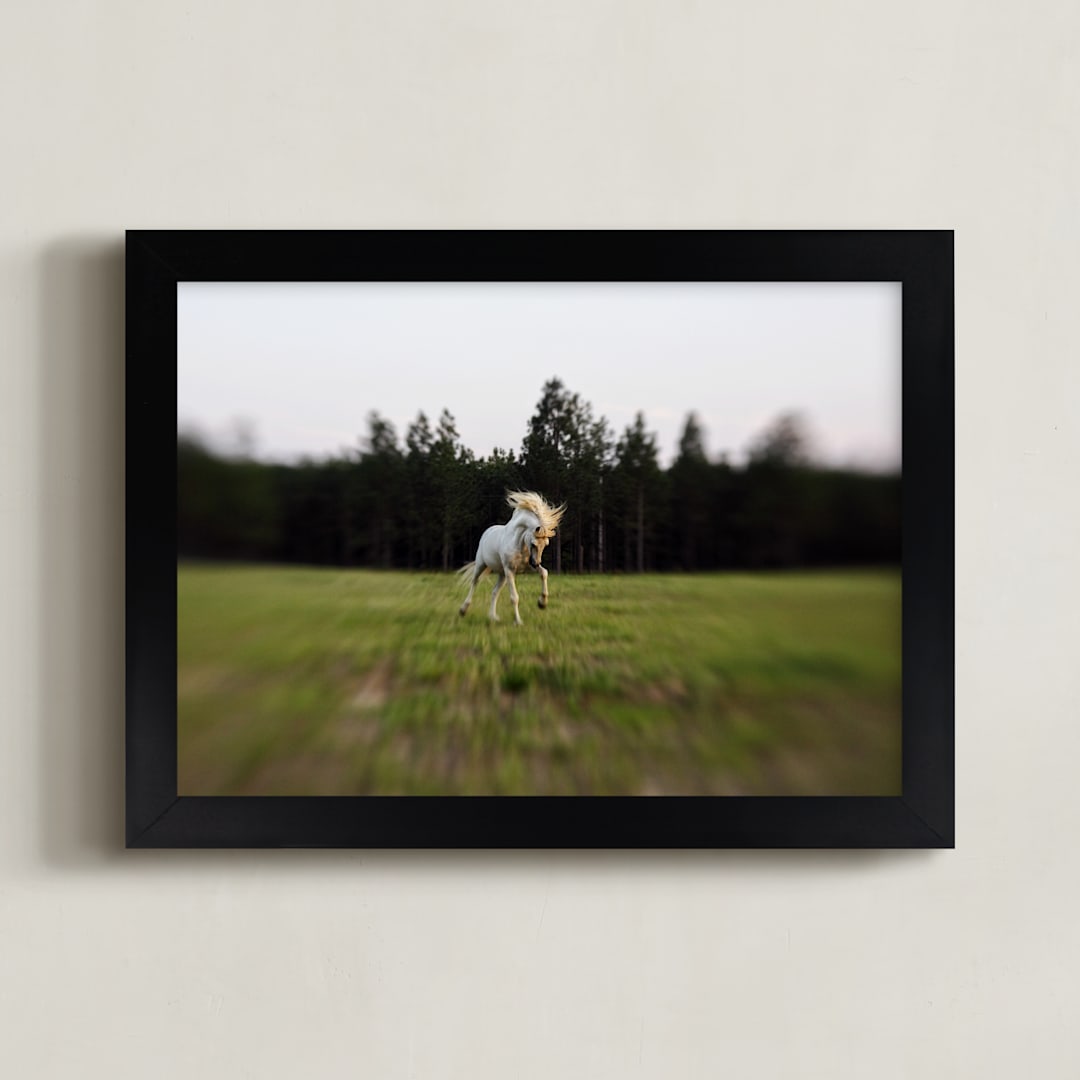 "Unicorn Pony" - Art Print in Grass by Meghan Benge - Framed