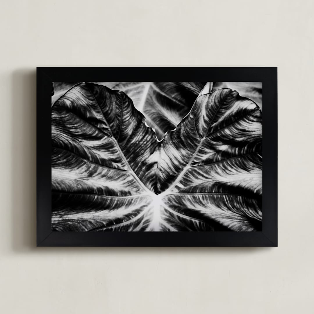 "Bold Leaf" - Art Print in Black by Alexis Arnold - Framed