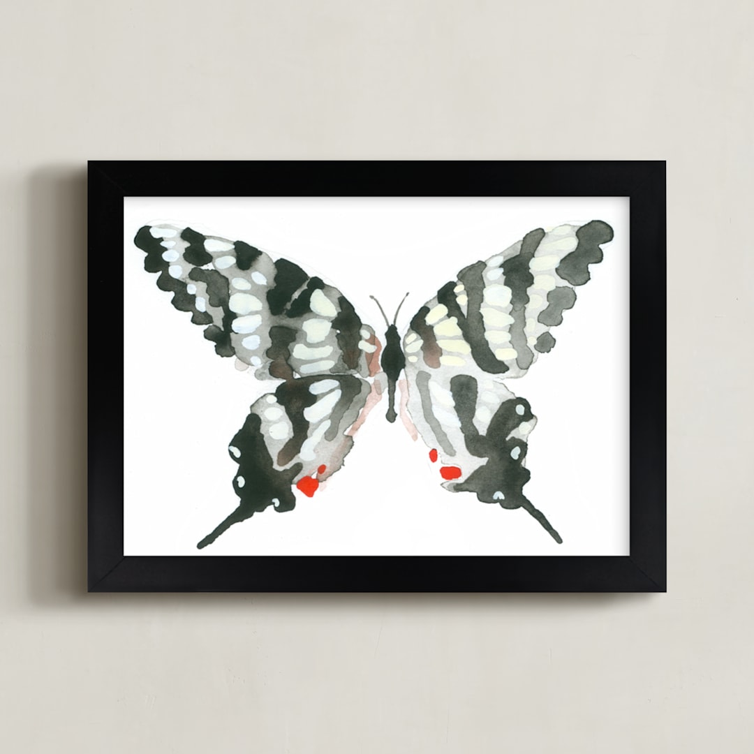"Zebra Swallowtail" - Art Print in ebony by Betty Hatchett - Framed