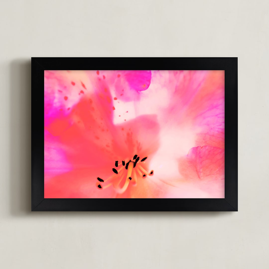 "Colors of a flower " - Art Print in rosy pink by NSMARK - Framed