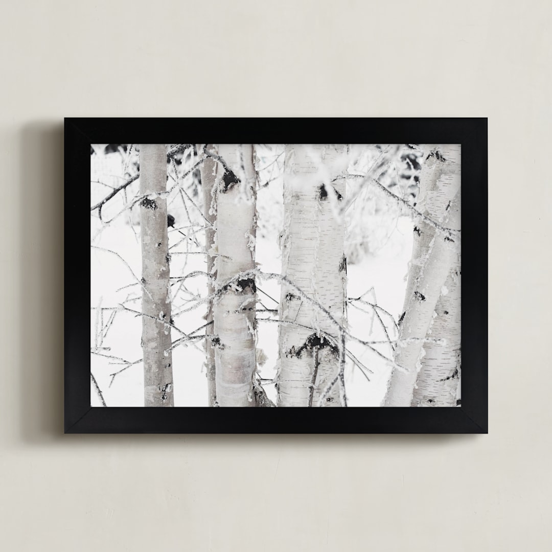 "Snowy Birch" - Art Print in Snow by Melanie Severin - Framed