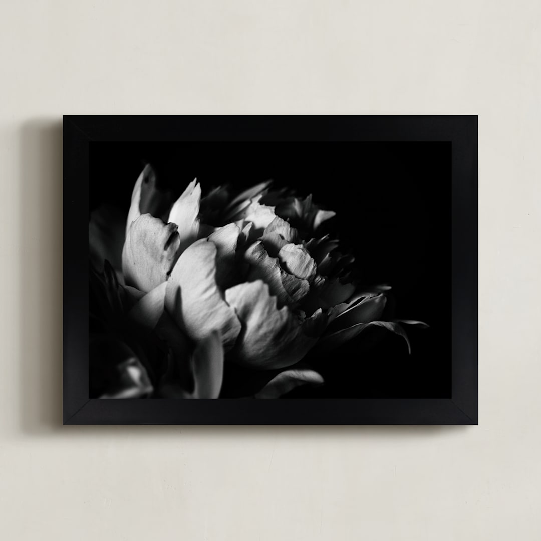 "Petals in Black & White" - Art Print in black and white by Alexis Arnold - Framed