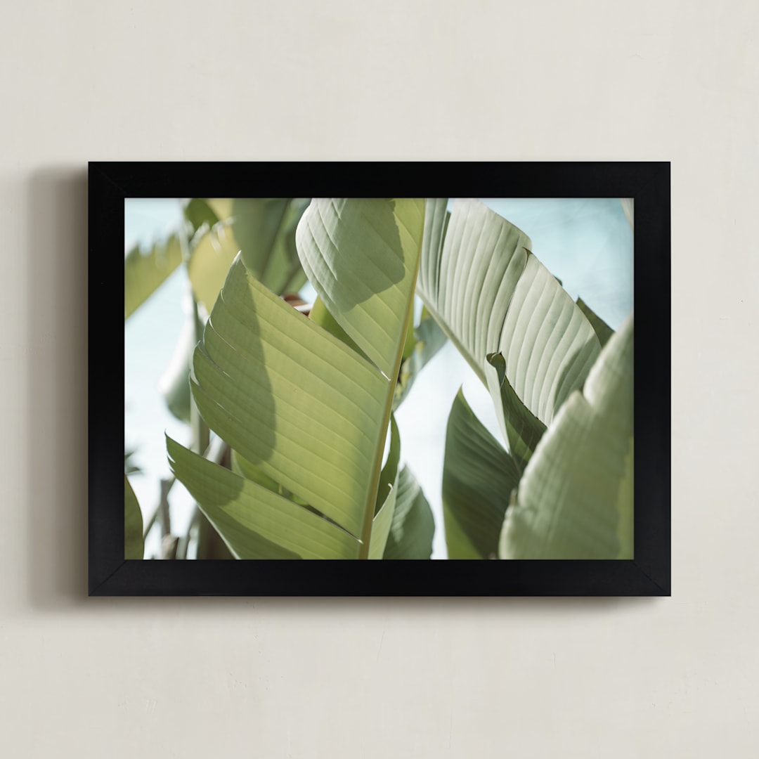 "Sunswept No. 1" - Art Print in Leaf Green by Owl and Toad - Framed