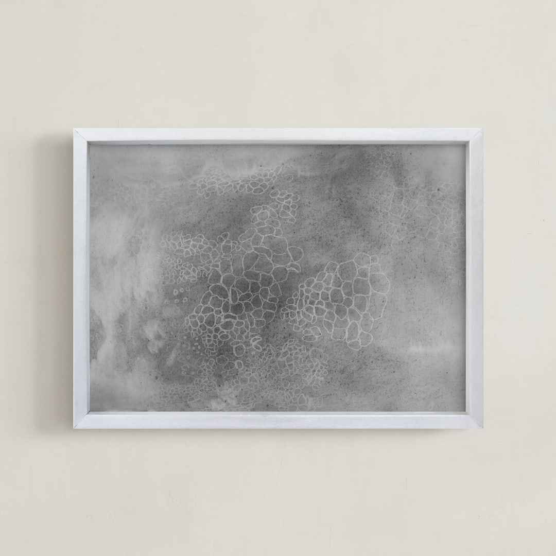 "Lichen Forms No.2" - Art Print in Graphite by Janie Allen - Framed