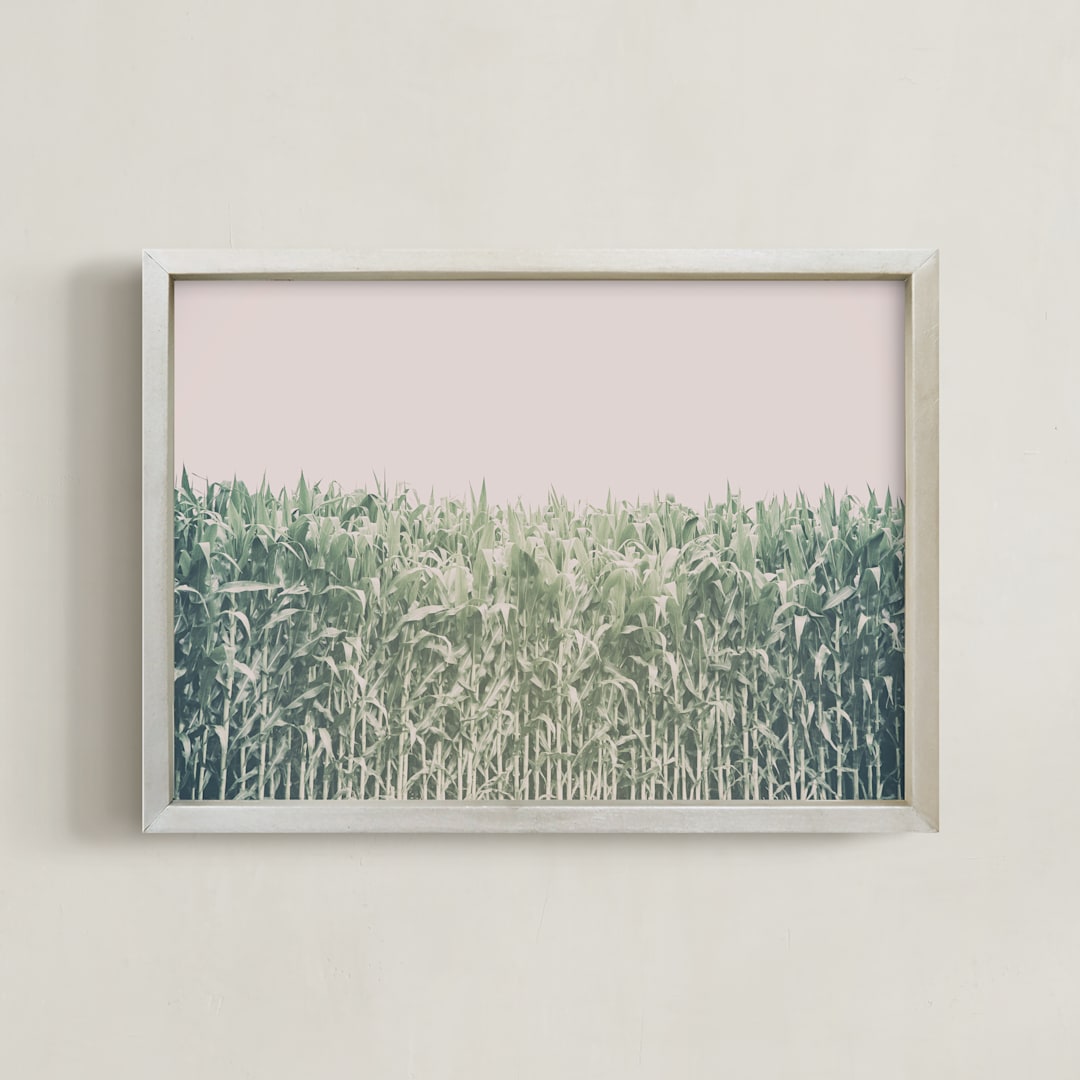 "Corn Field" - Art Print in muted green by Alexis Arnold - Framed