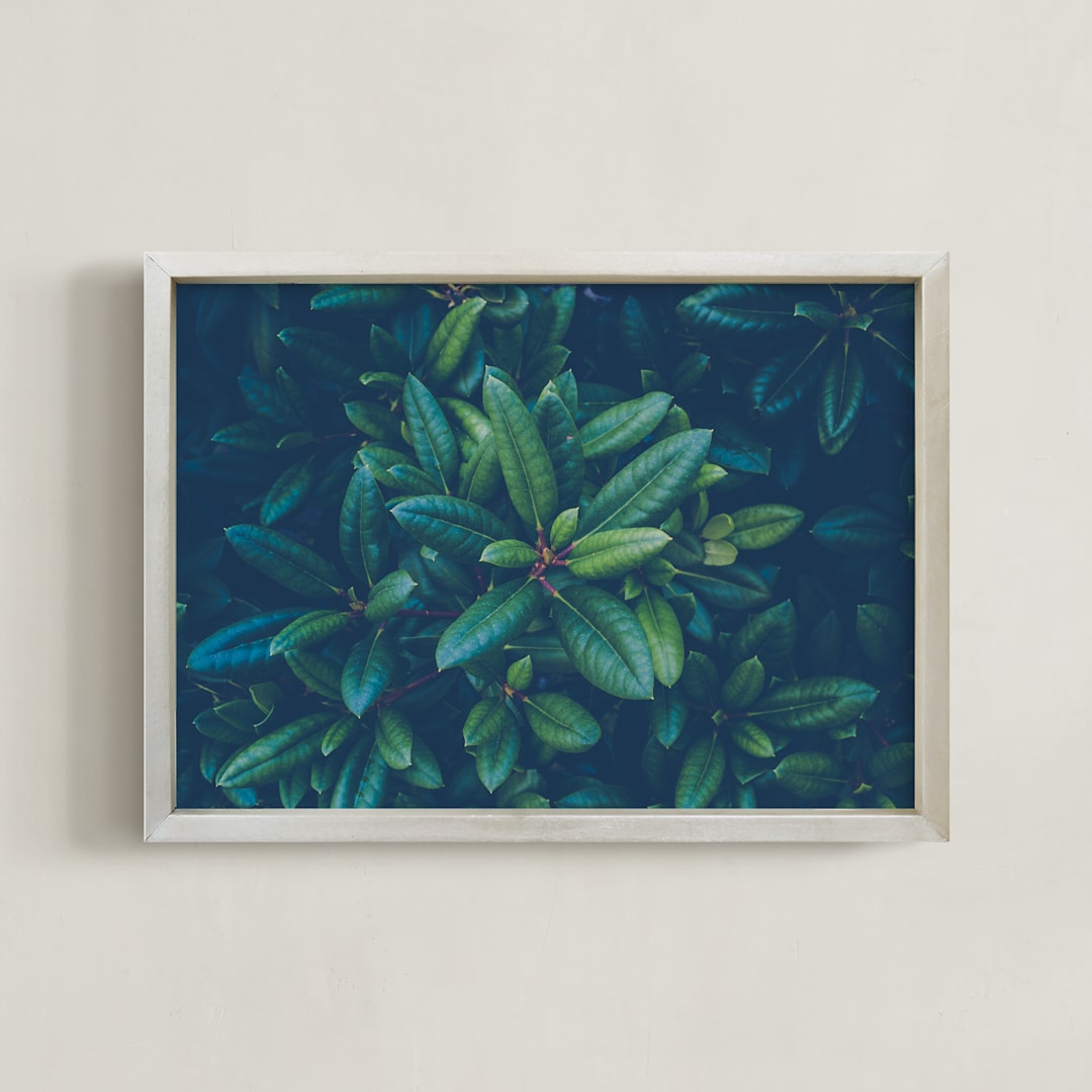 "NATURAL TEXTURE II" - Art Print in Turquoise by Lying on the grass - Framed
