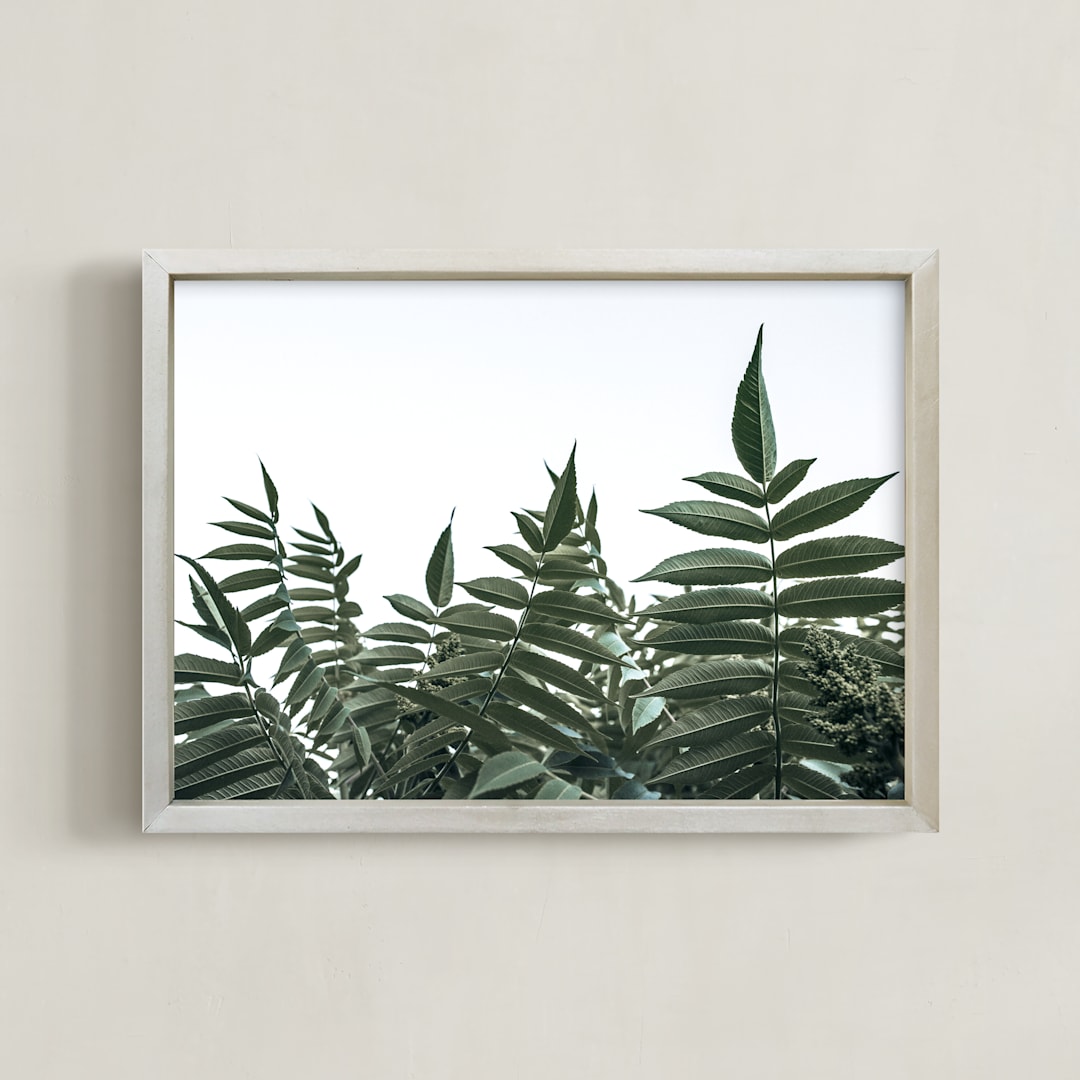 "Green leaves on white" - Art Print in Green by Lying on the grass - Framed