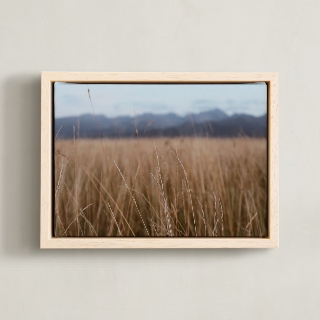 "Fields of Wheat" - Art Print in tan by Claire Duda - Framed Canvas