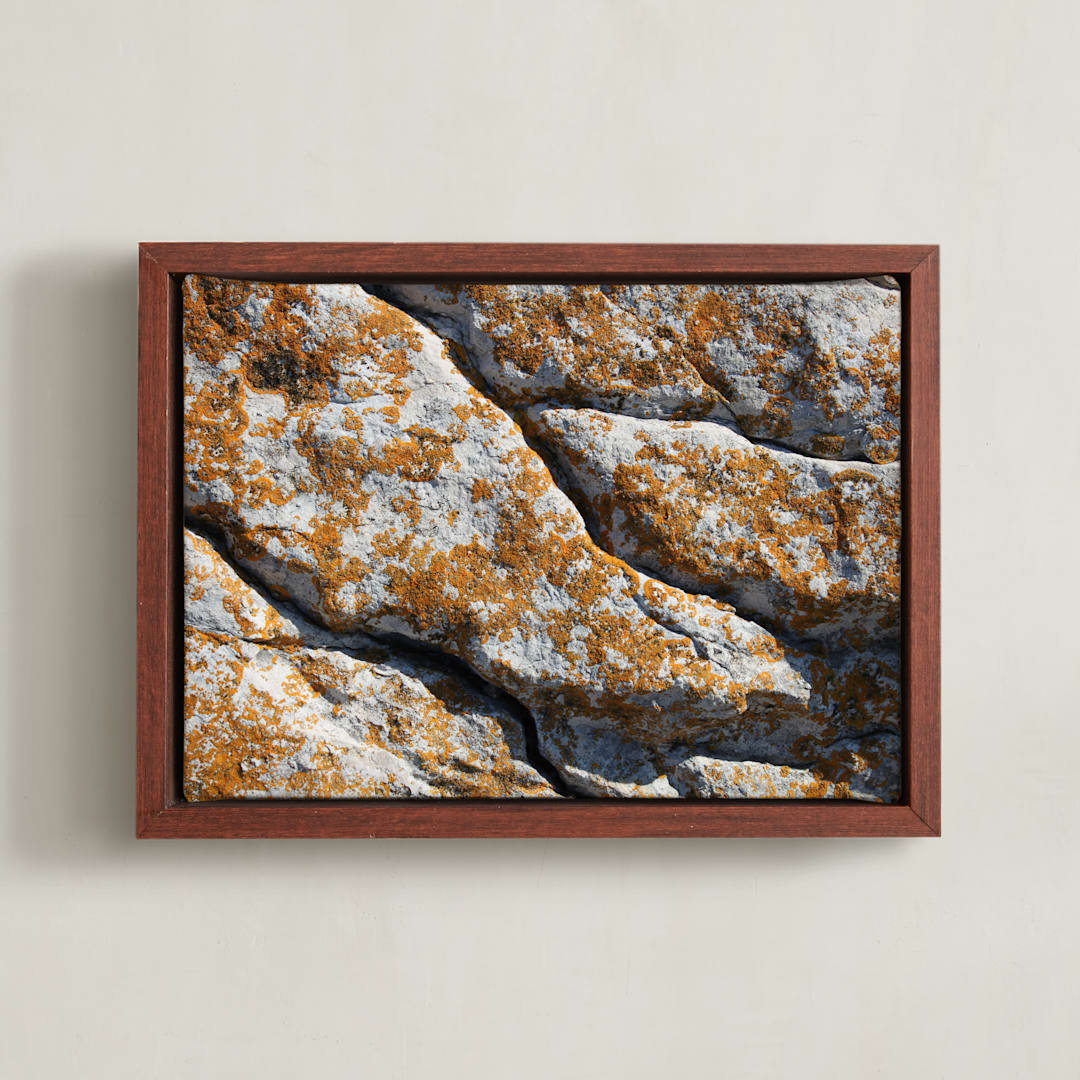 "Mediterranean Lichen" - Art Print in curcuma by Christiana Petschallies - Framed Canvas