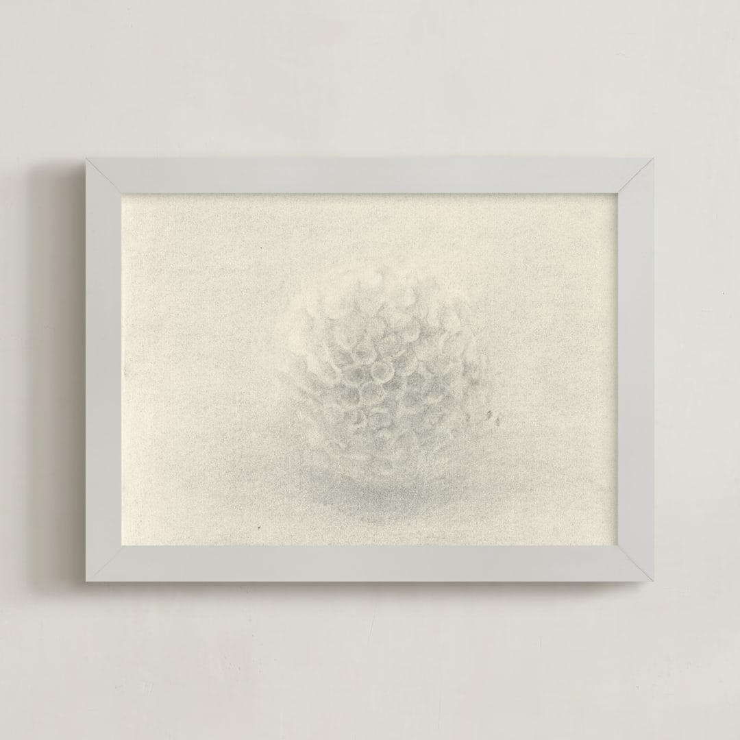 "Sea Urchin" - Art Print in ivory creamy grey by Elisabeth Larson - Framed
