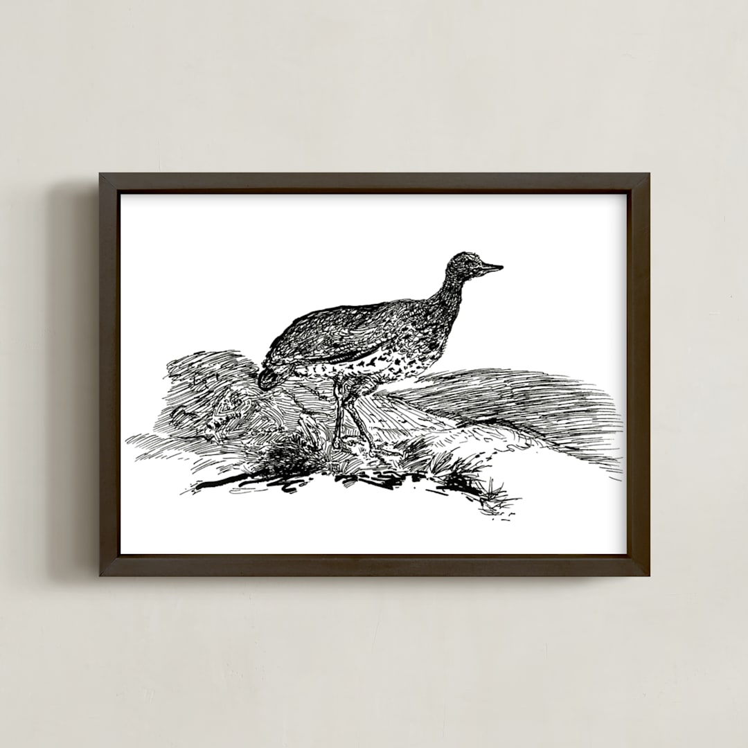 "Bewick's Little Bustard" - Art Print in Deep Black by Edward Walker - Framed
