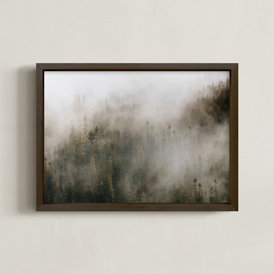 "Pacific North Fog" - Art Print in Forest Green by 1885 Atelier - Framed