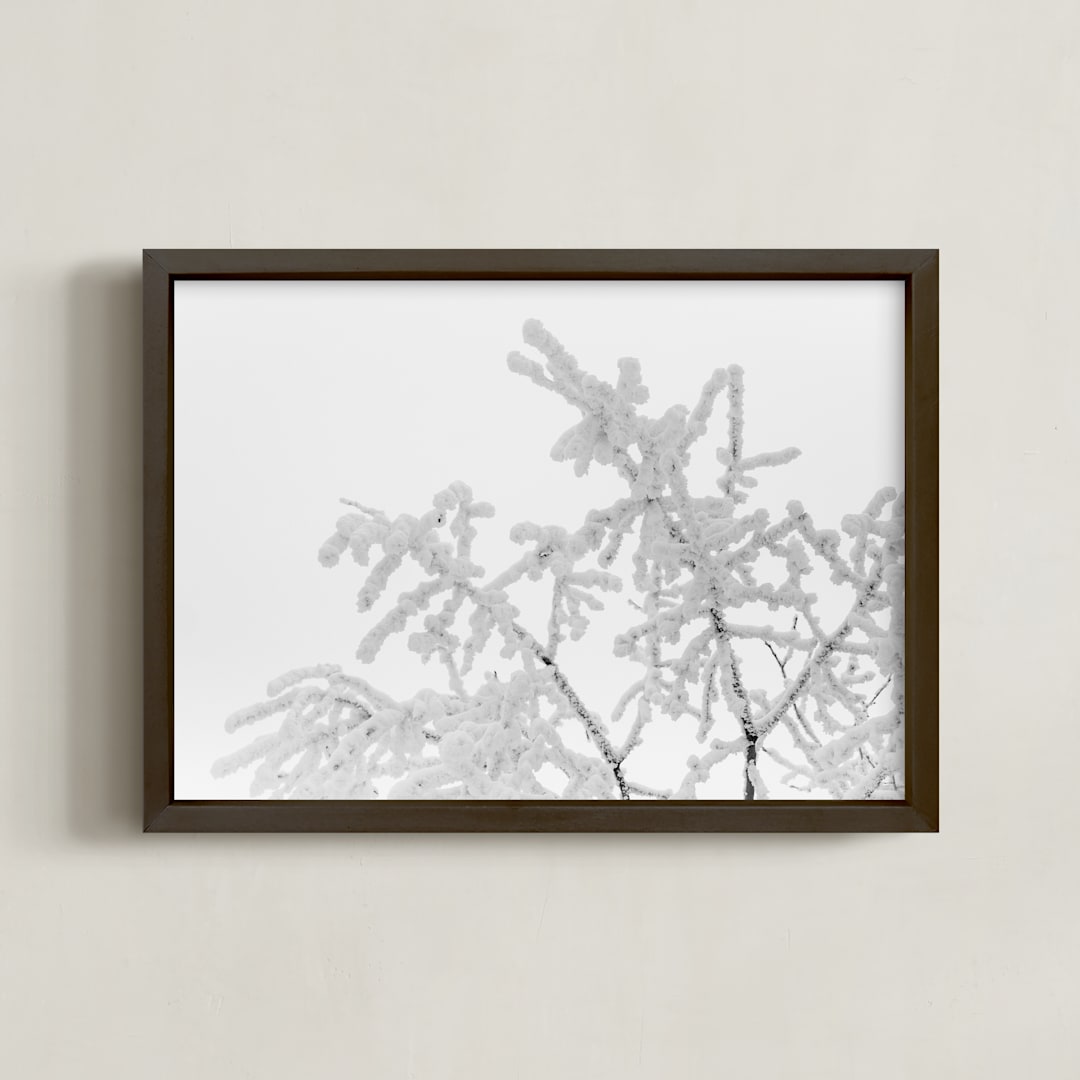 "Frost 1" - Art Print in Black & White by Ardell McLennan - Framed