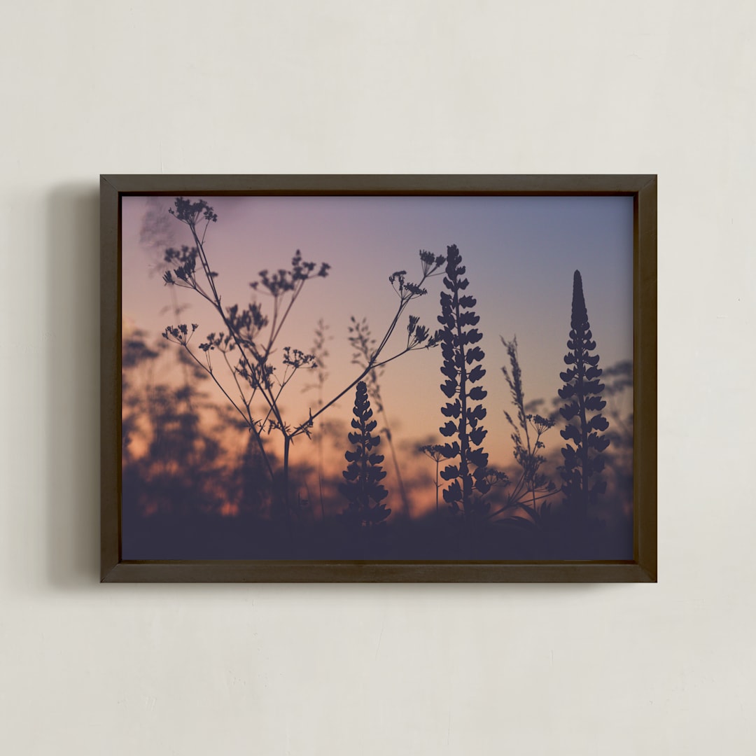 " Sunset among the grasses III" - Art Print in Red Fiery Violet by Lying on the grass - Framed