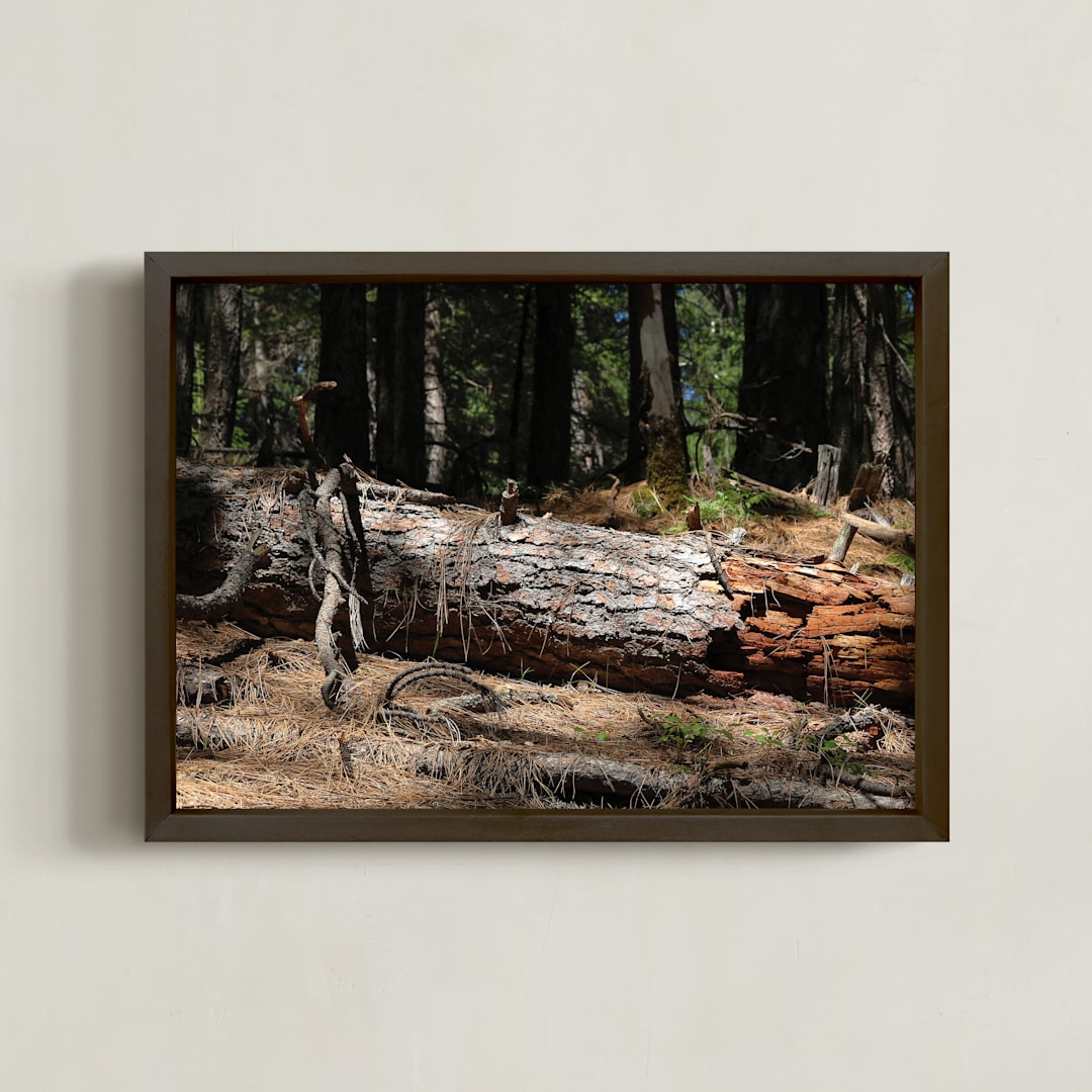 "Silence Fallen" - Art Print in Carmel by Elky Ink - Framed