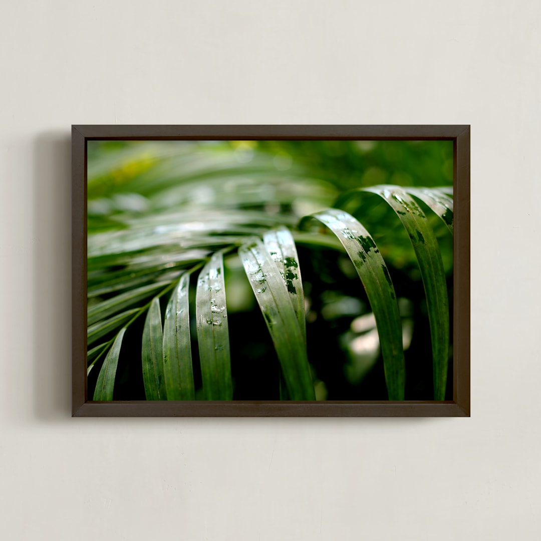 "Subdued" - Art Print in Palm by Three Wings North - Framed