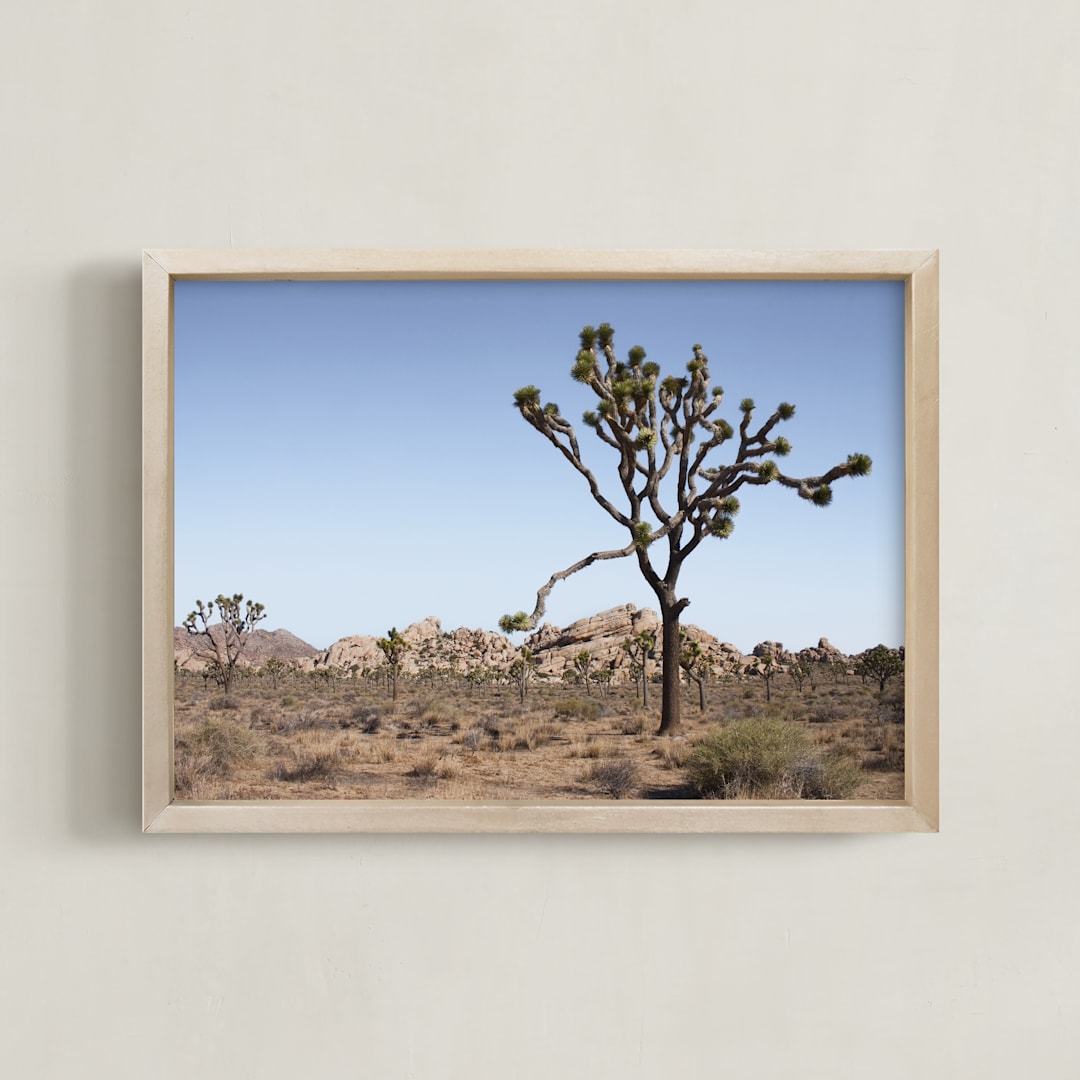 "Joshua Tree With Rock Formation in" - Art Print in Desert Tan by Kathy Van Torne - Framed