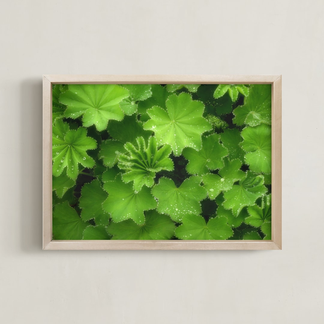 "Magical Sparkling Leaves" - Art Print in soft green by Julia Preminger - Framed