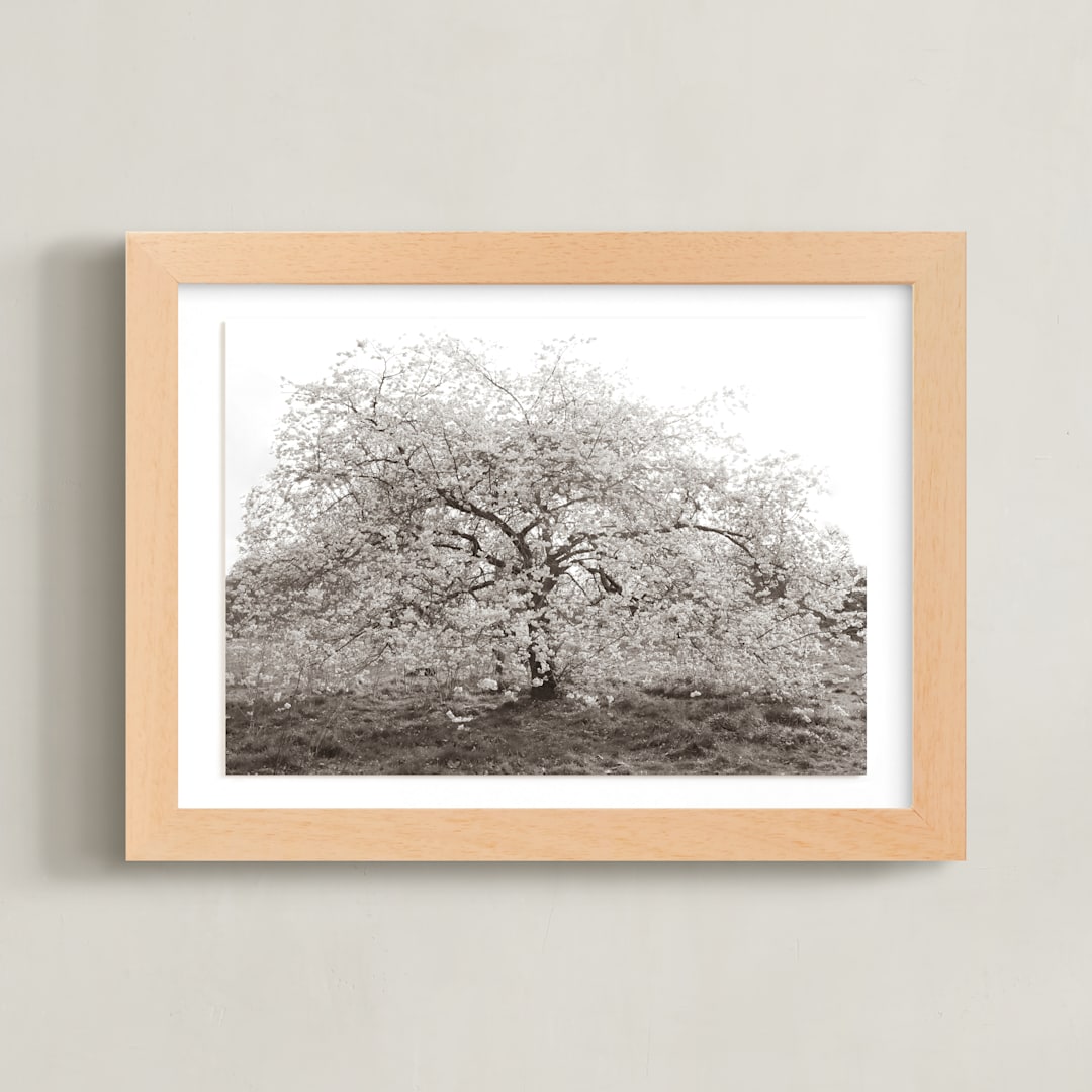 "bloom I" - Art Print in blossom by Sara Hicks Malone - Framed