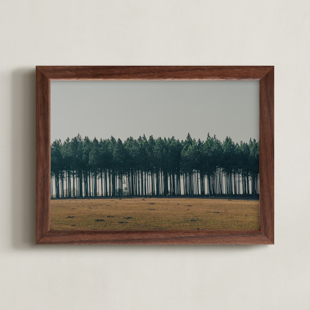 "Moody Trees" - Art Print in Pine by Zani van Zyl - Framed