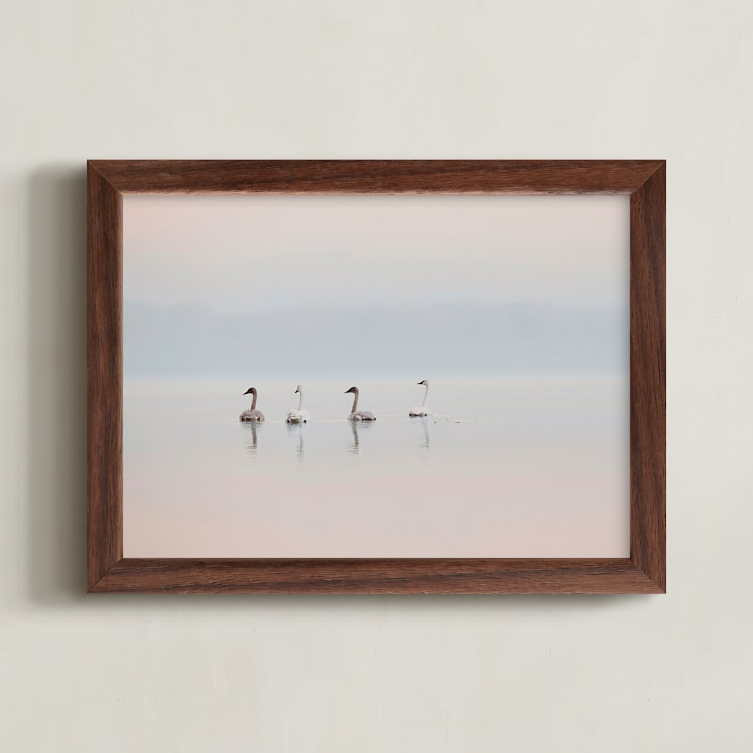 "Sunrise Quartet" - Art Print in Blush Pink by Corrina Reid - Framed