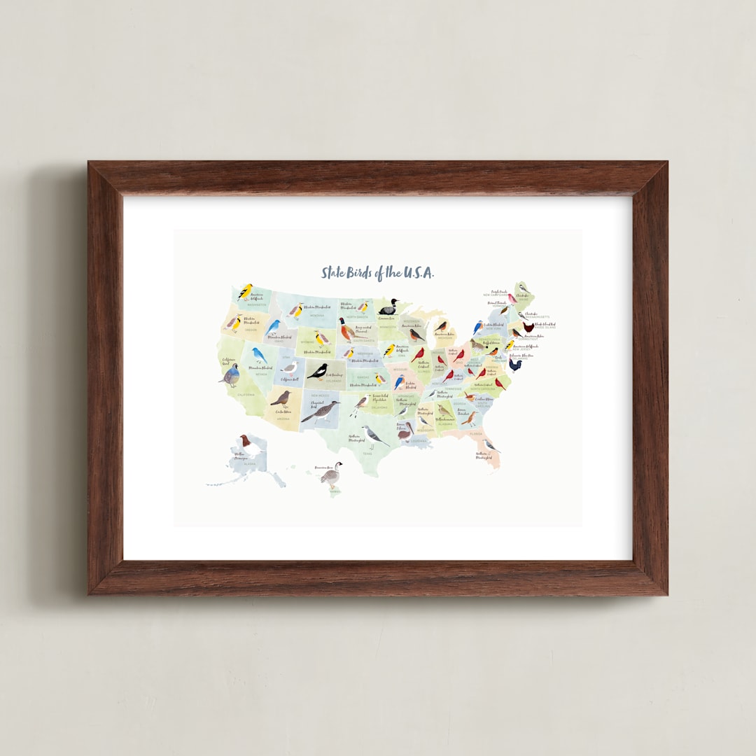 "State Birds of the USA" - Art Print in Natural by Cynthia Jacquette - Framed