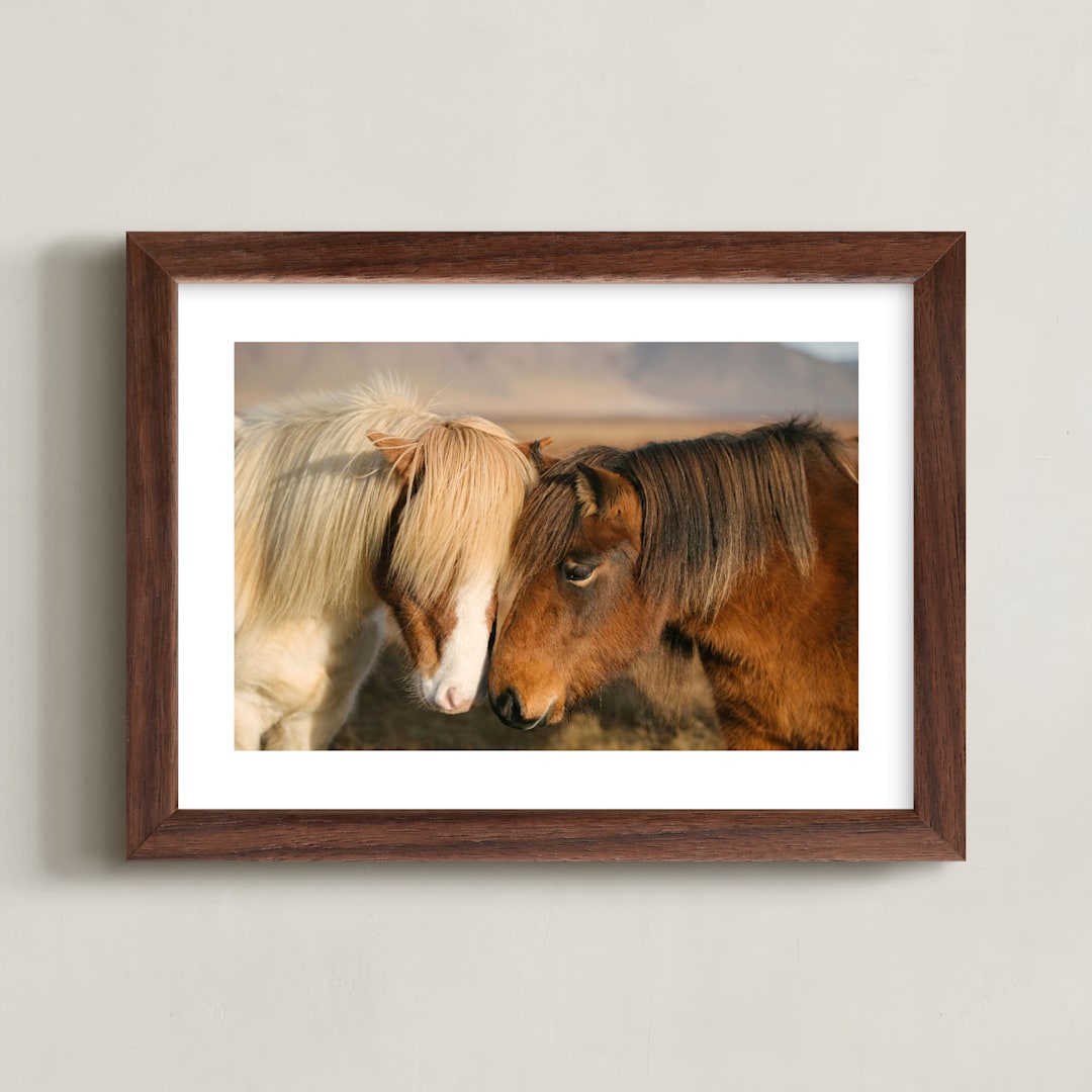 "Icelandic Horses II" - Art Print in Golden by Crystal Lynn Collins - Framed