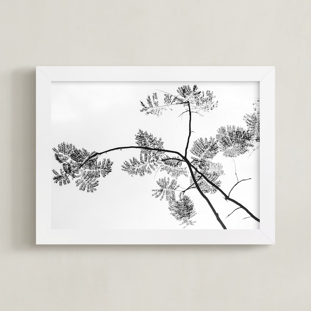 "Botanical Silhouette" - Art Print in Black and White by Kaitlin Rebesco - Framed
