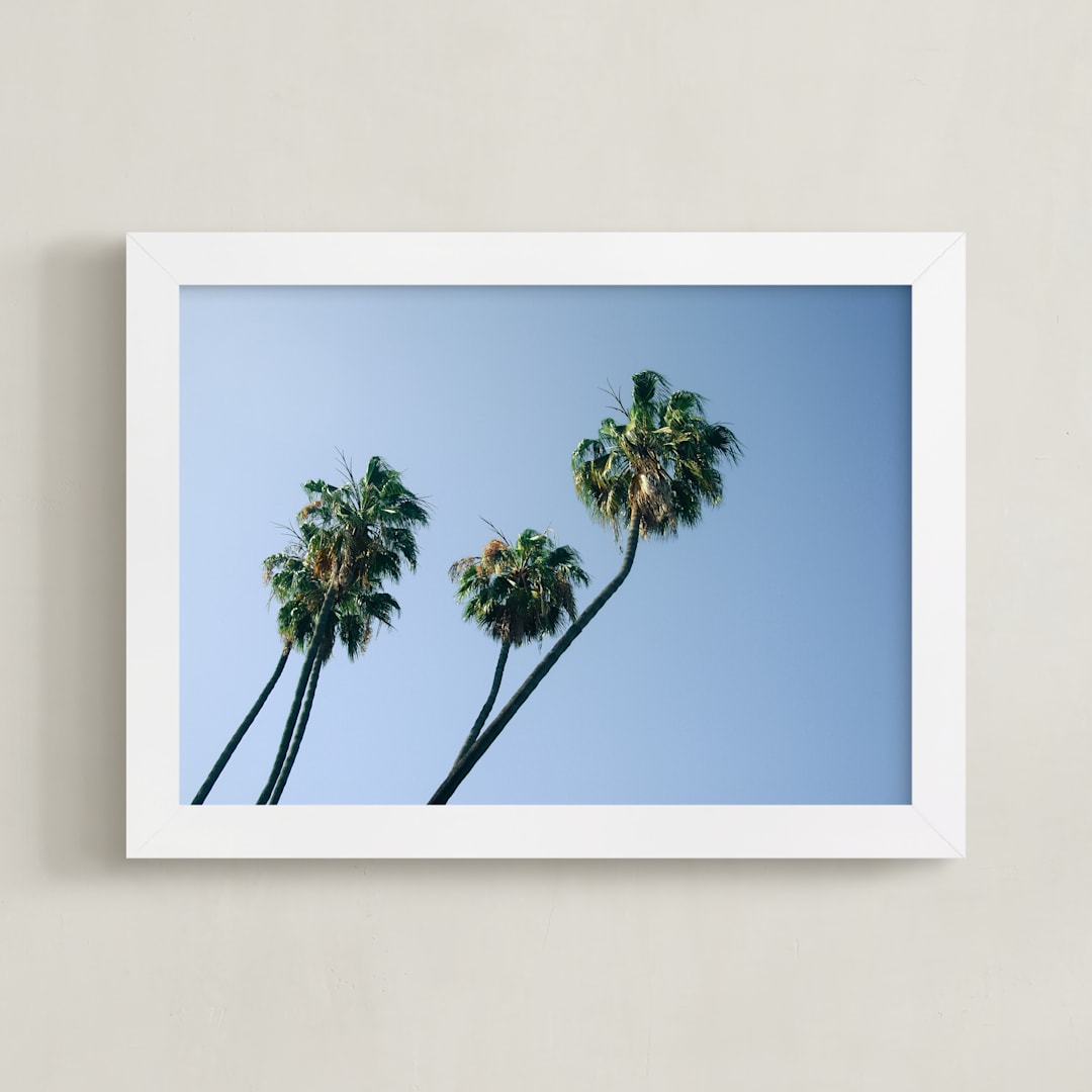"Palm Lean" - Art Print in Los Angeles Green by Kitty Seeber - Framed