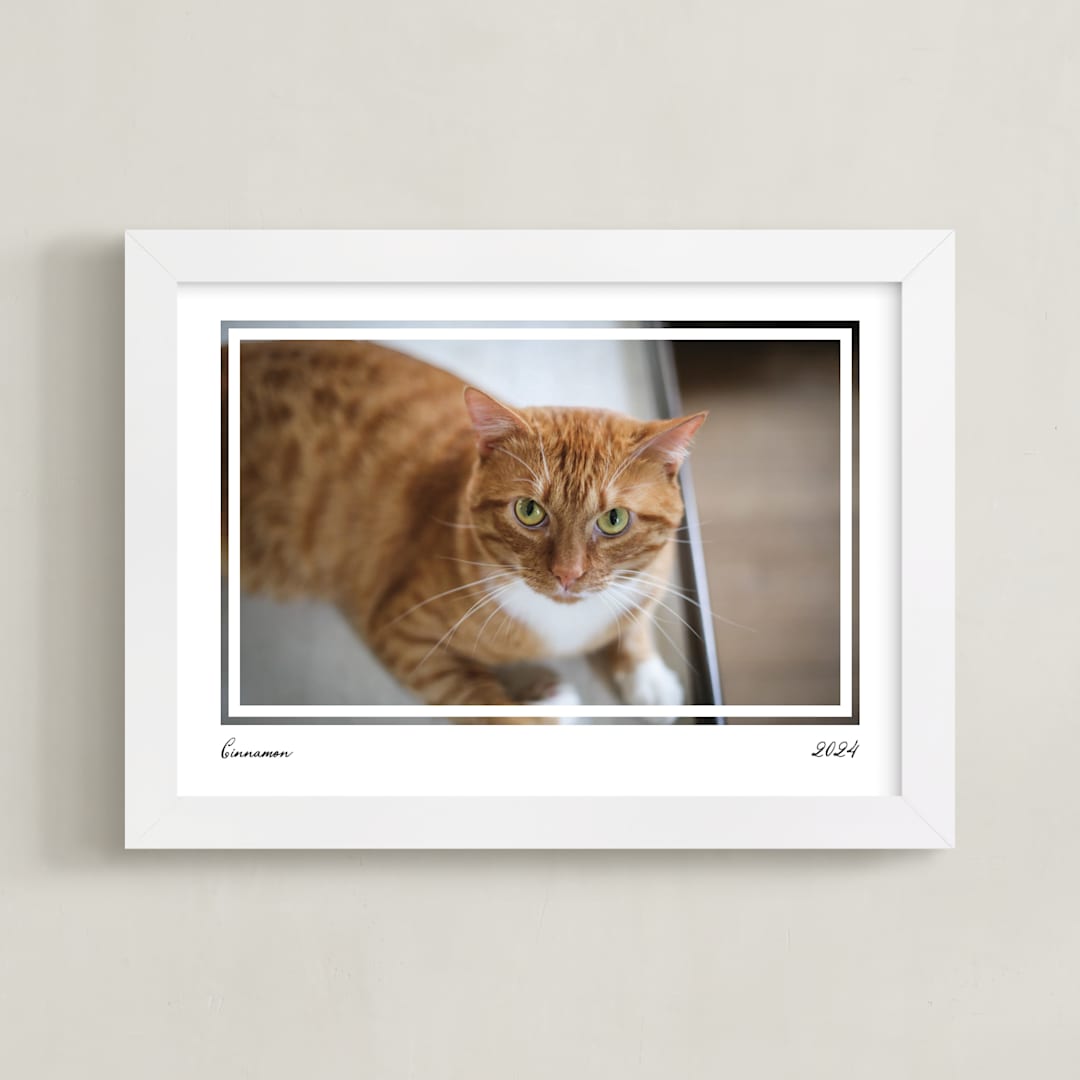 "Artifact: Landscape Framed Photo" - Framed Photo in Charcoal by Snow and Ivy - Framed