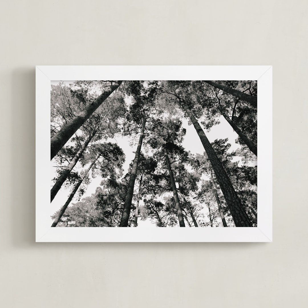 "In the Woods" - Art Print in black and white by lulu and isabelle - Framed