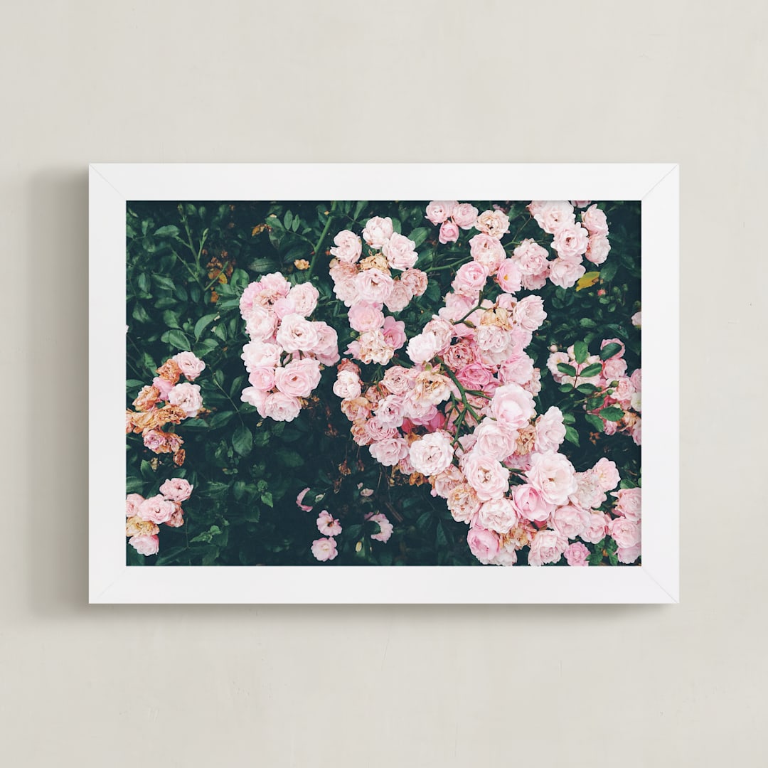 "Shining Statement" - Art Print in Rosa by lulu and isabelle - Framed