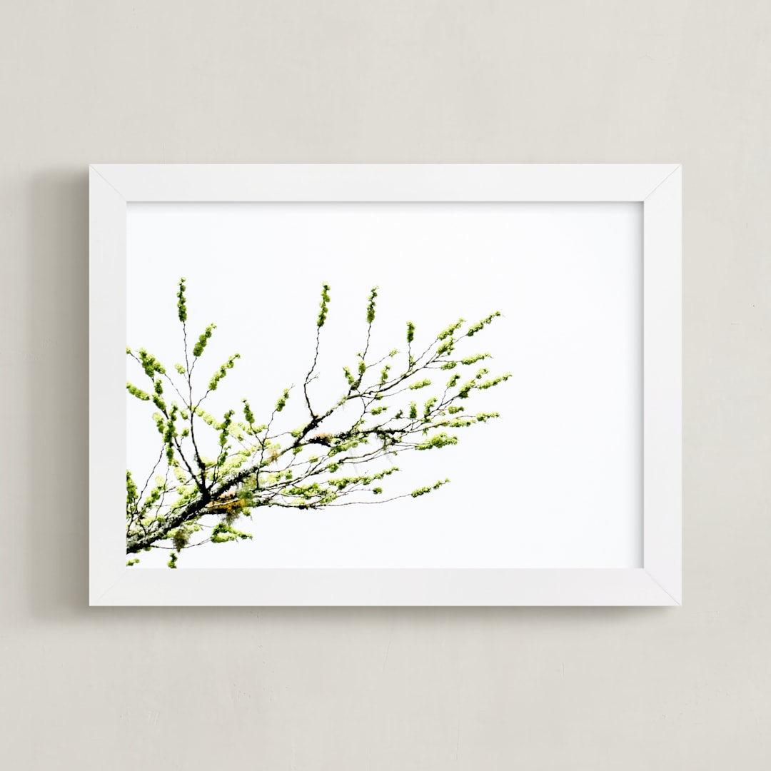 "Sun seeking" - Art Print in Green by Eliane Lamb - Framed