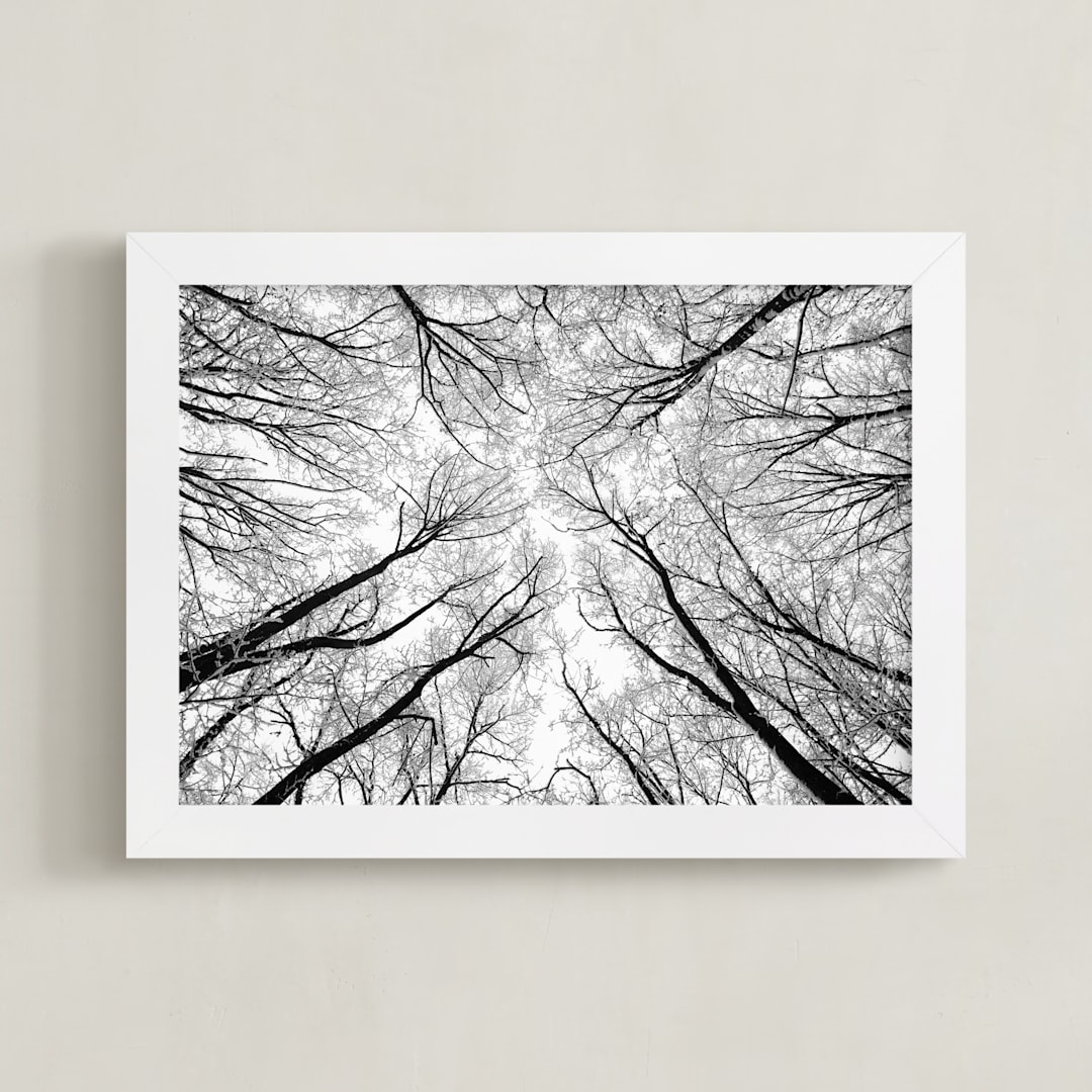 "Lost in the forest" - Art Print in Black and White by Magdalena Kucova - Framed