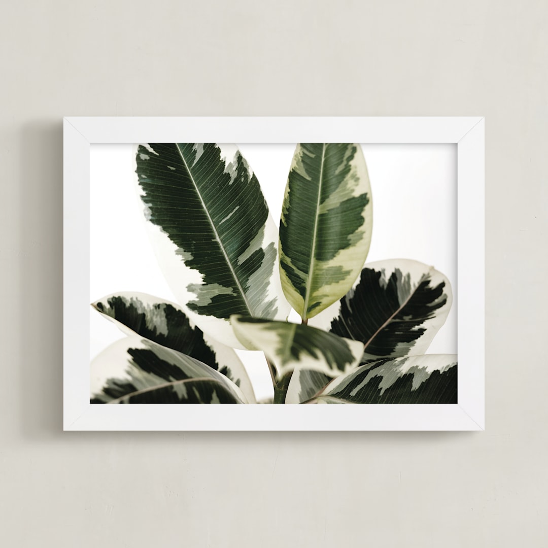 "Diane" - Art Print in Variegated Green by Kristi Jackson - Framed