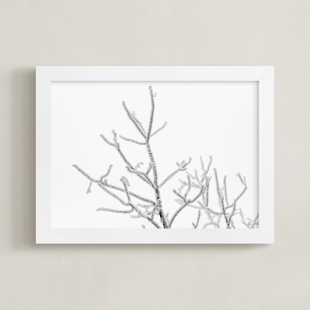 "Frost 4" - Art Print in black & white by Ardell McLennan - Framed